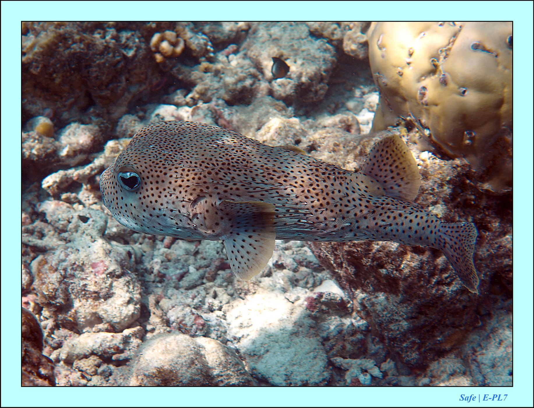 2023 - 07 - Sandies Bathala - 199